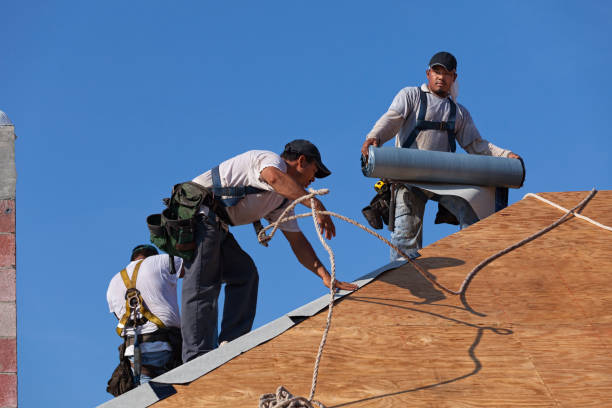 Best Storm Damage Roof Repair  in Clinton, OH